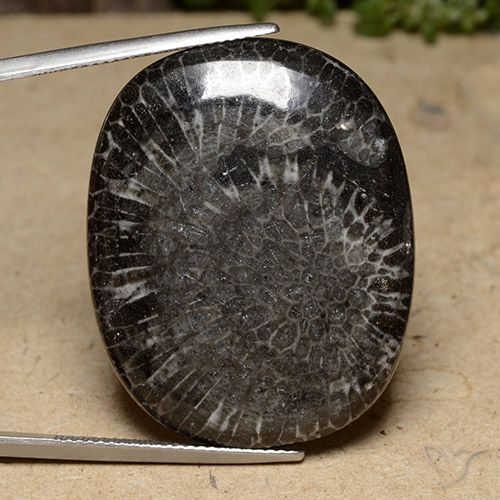 39.77ct 天然 彩色 珊瑚, 软垫, 不透明