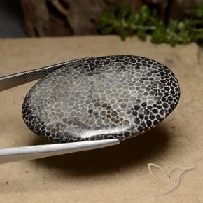 56.91克拉天然珊瑚，椭圆形，不透明