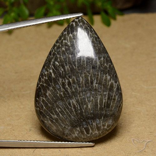 34.89ct 天然 彩色 珊瑚, 梨形, 不透明, Photo A