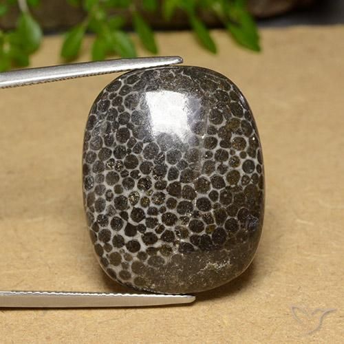 28.32ct 天然 彩色 珊瑚, 软垫, 不透明