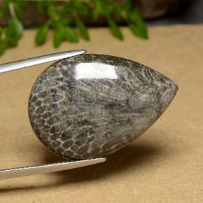 20.56克拉天然珊瑚，梨形，不透明