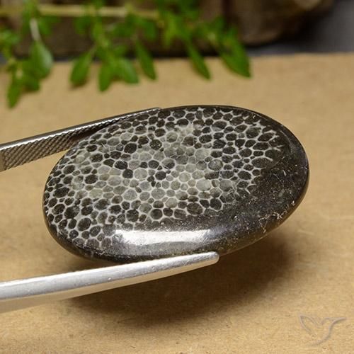 31.69克拉天然珊瑚，椭圆形，不透明