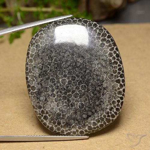 63.14ct 天然 彩色 珊瑚, 软垫, 不透明