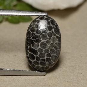 2.44克拉天然灰色珊瑚，椭圆形切割，12.6×8.2毫米，不透明