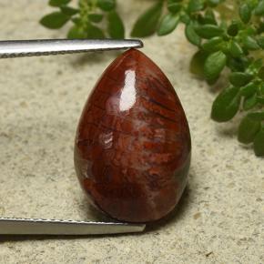 7.90克拉天然珊瑚，梨形，不透明