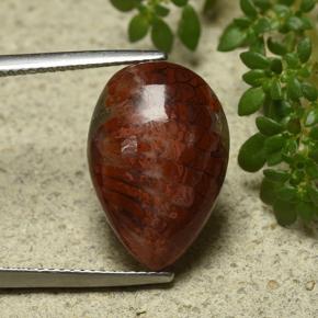 7.90克拉天然珊瑚，梨形，不透明