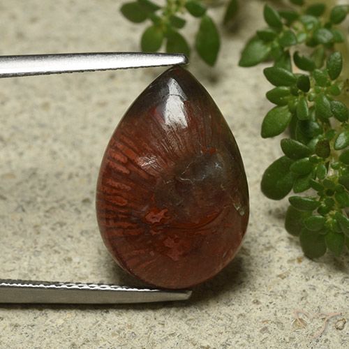 7.03ct 天然 彩色 珊瑚, 梨形, 不透明