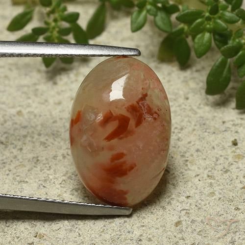 6.87ct 天然 彩色 珊瑚, 椭圆形, 半透明