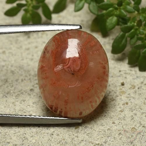 9.87ct 天然 彩色 珊瑚, 椭圆形, 半透明