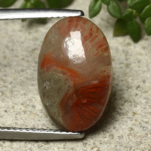5.91克拉天然多色珊瑚，椭圆形切割，16.1×10.6毫米，半透明