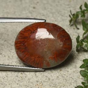 12.59克拉天然珊瑚，椭圆形切割，不透明
