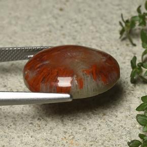 12.59克拉天然珊瑚，椭圆形切割，不透明