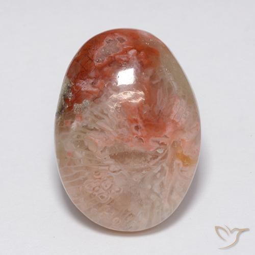 8.90ct 天然 彩色 珊瑚, 椭圆形, 不透明