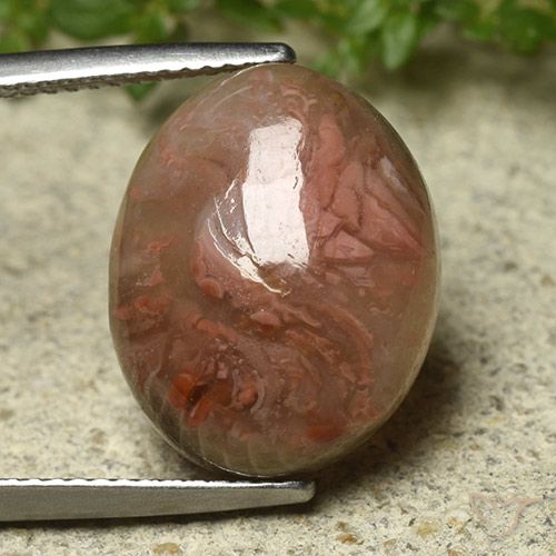 9.92ct 天然 彩色 珊瑚, 椭圆形, 半透明