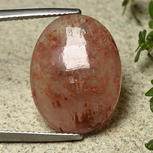 9.08ct 天然 彩色 珊瑚, 椭圆形, 半透明