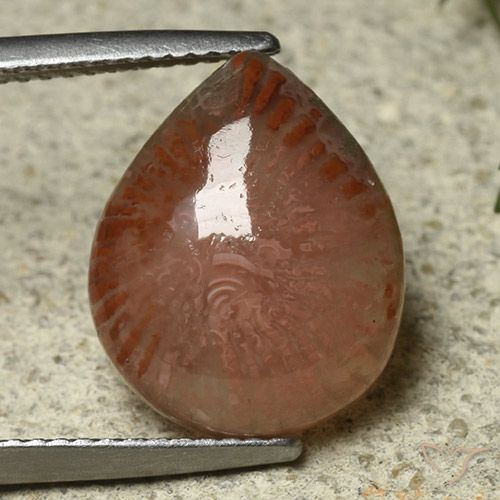 6.87ct 天然 彩色 珊瑚, 梨形, 半透明