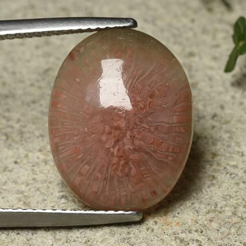 7.81ct 天然 彩色 珊瑚, 椭圆形, 半透明