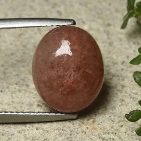 6.35克拉天然珊瑚，椭圆形切割，半透明