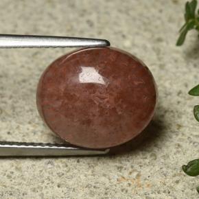 6.35克拉天然珊瑚，椭圆形切割，半透明