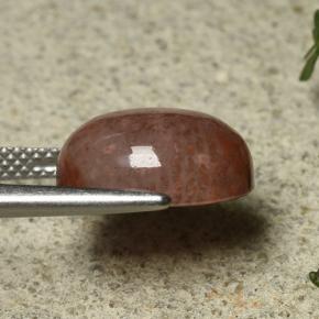 6.35克拉天然珊瑚，椭圆形切割，半透明