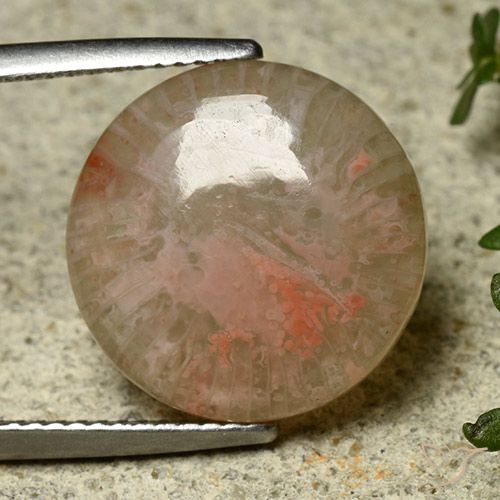 8.34ct 天然 彩色 珊瑚, 圆形的, 半透明