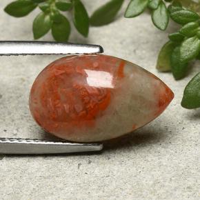 4.83克拉天然珊瑚，梨形，半透明