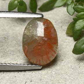 1.88克拉天然珊瑚，椭圆形切割，半透明