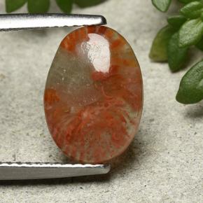 2.54克拉天然珊瑚，椭圆形切割，半透明