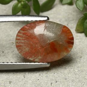 2.54克拉天然珊瑚，椭圆形切割，半透明
