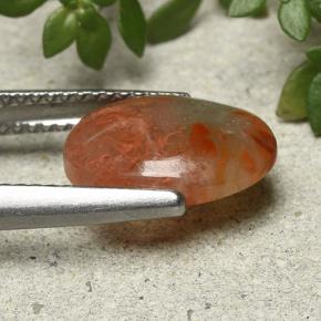 2.54克拉天然珊瑚，椭圆形切割，半透明