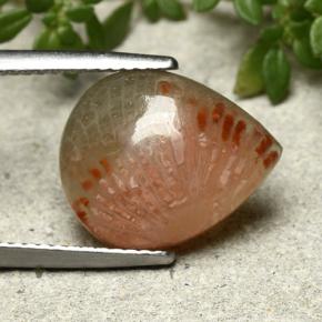 5.26克拉天然珊瑚，梨形，半透明