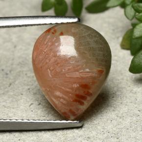 5.26克拉天然珊瑚，梨形，半透明