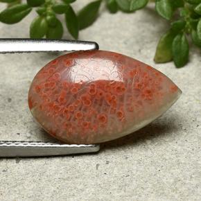 3.94克拉天然多色珊瑚，梨形，16.3×9.9毫米，半透明