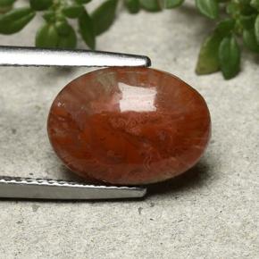 4.35克拉天然珊瑚，椭圆形切割，半透明