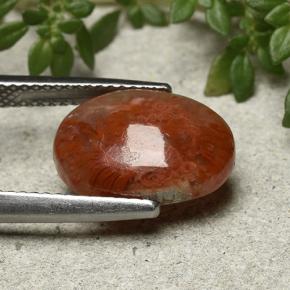 4.35克拉天然珊瑚，椭圆形切割，半透明