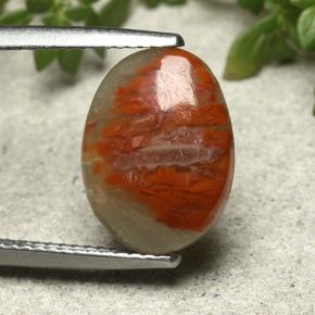 3.86克拉天然多色珊瑚，椭圆形切割，13.6×10.1毫米，不透明