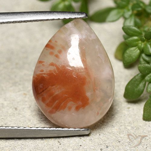 6.43ct 天然 彩色 珊瑚, 梨形, 半透明, Photo A