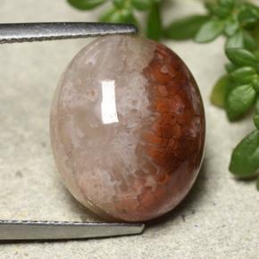 12.54克拉天然珊瑚，椭圆形切割，半透明