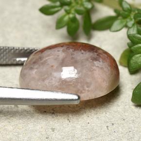 12.54克拉天然珊瑚，椭圆形切割，半透明