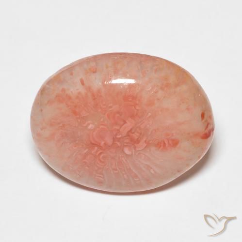 7.43ct 天然 彩色 珊瑚, 椭圆形, 半透明