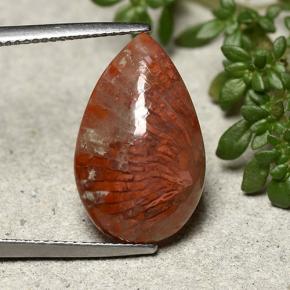 8.19克拉天然多色珊瑚，梨形，19.9×12.5毫米，不透明