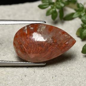 8.19克拉天然多色珊瑚，梨形，19.9×12.5毫米，不透明