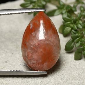 7.73克拉天然多色珊瑚，梨形，18.9×12.4毫米，不透明