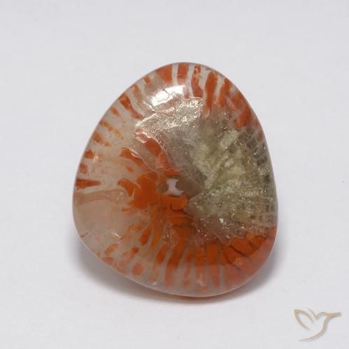 7.59ct 天然 彩色 珊瑚, 花式切割, 半透明
