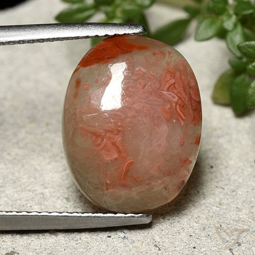 6.86ct 天然 彩色 珊瑚, 椭圆形, 半透明, Photo A