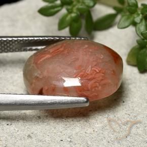 6.86克拉天然珊瑚，椭圆形，半透明