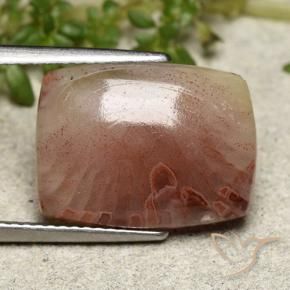 5.47克拉天然珊瑚，垫形剪裁，半透明