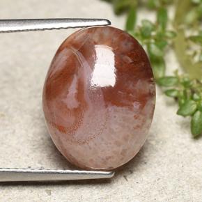 6.86克拉天然珊瑚，椭圆形切割，半透明