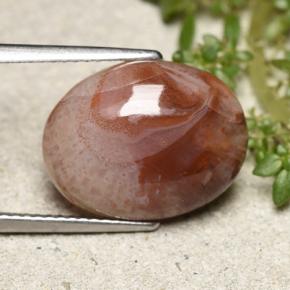 6.86克拉天然珊瑚，椭圆形切割，半透明