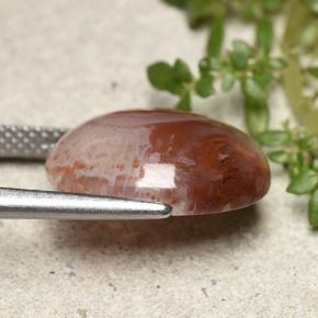 6.86克拉天然珊瑚，椭圆形切割，半透明